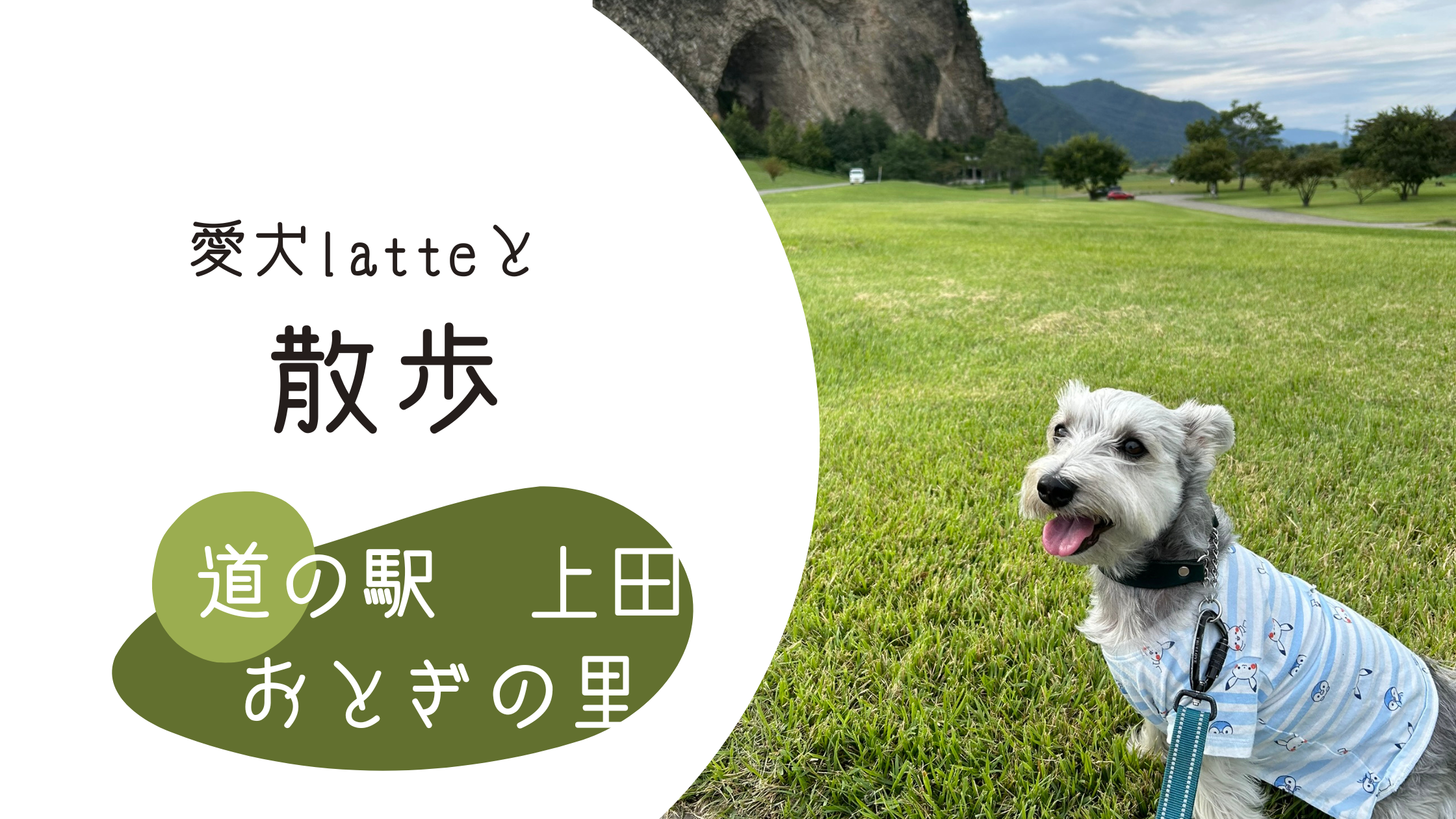 9eecc36ff86a9d5b9be000a9f2ee20