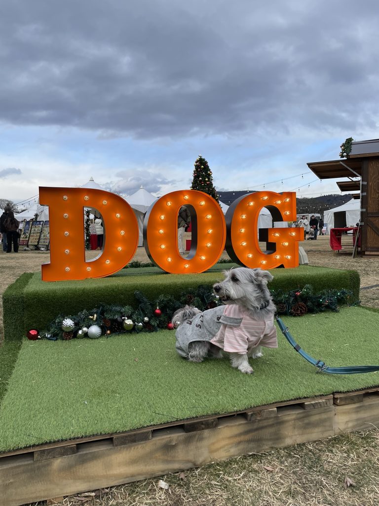 軽井沢アウトレット、お散歩によく行きます