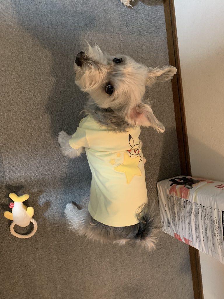 ピカチュウの柄　ユニクロ服　ラテ