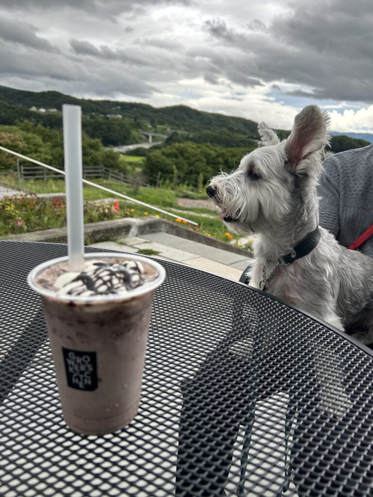 テイクアウトのチョコ飲み物とラテ