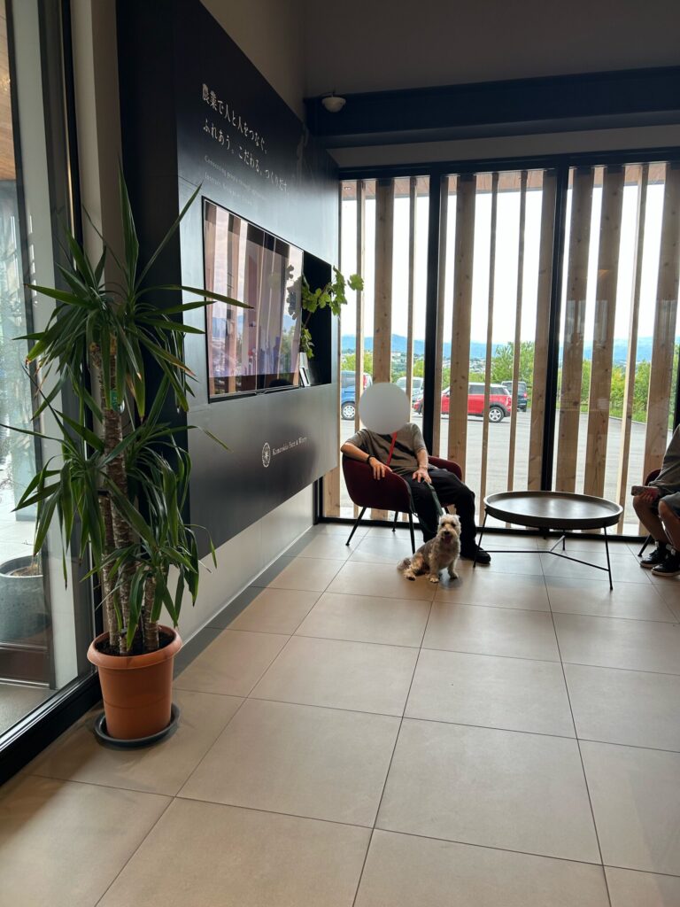 ワイン店内の写真　おしゃれ