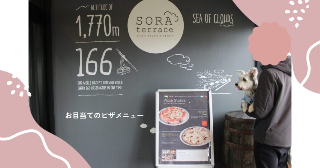 ピザのメニュー看板