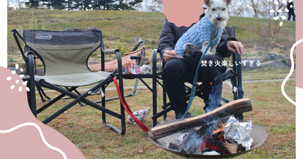 焚き火のサービス　焼き芋焼いてるのまち犬