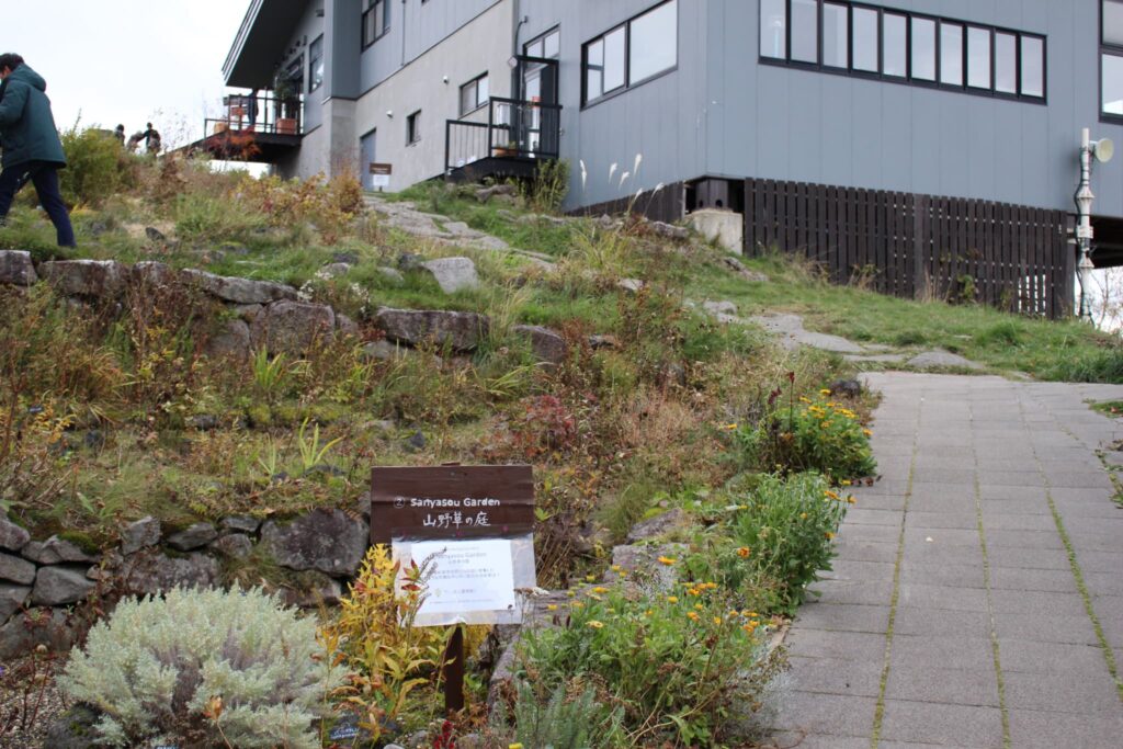 山頂に到着この坂を登ってカフェに行くよ