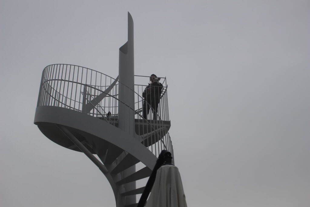 螺旋階段に登ったラテ犬　景色は微妙